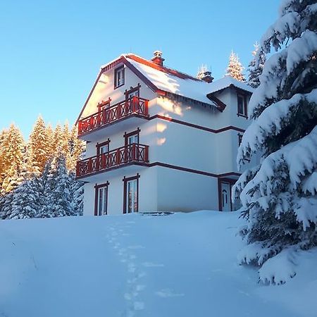 Vila Natasa Kopaonik Ngoại thất bức ảnh