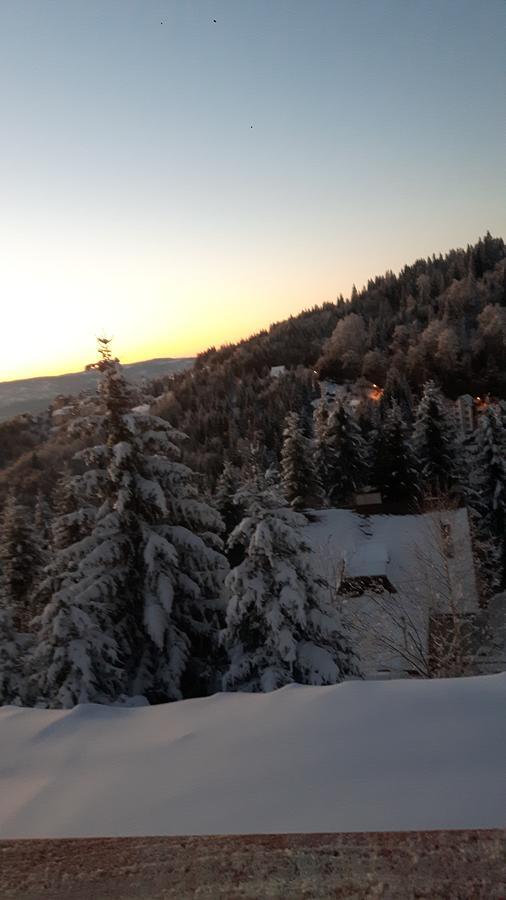 Vila Natasa Kopaonik Ngoại thất bức ảnh