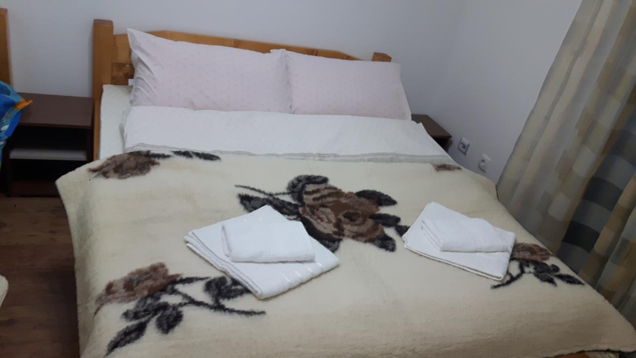 Vila Natasa Kopaonik Ngoại thất bức ảnh