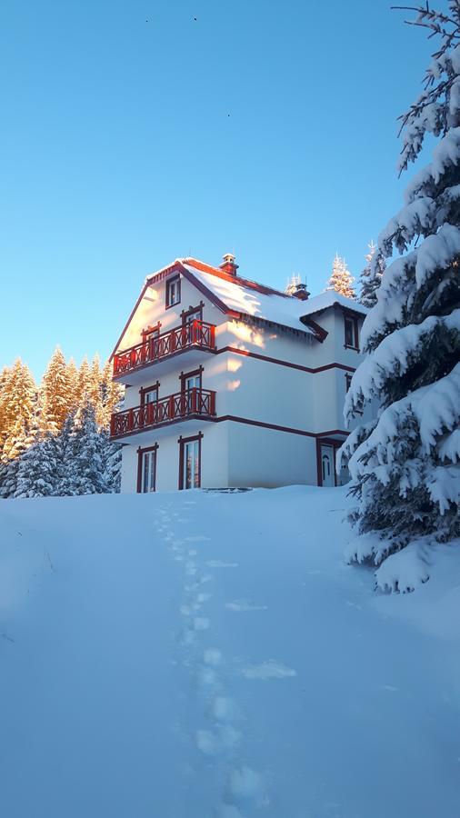 Vila Natasa Kopaonik Ngoại thất bức ảnh