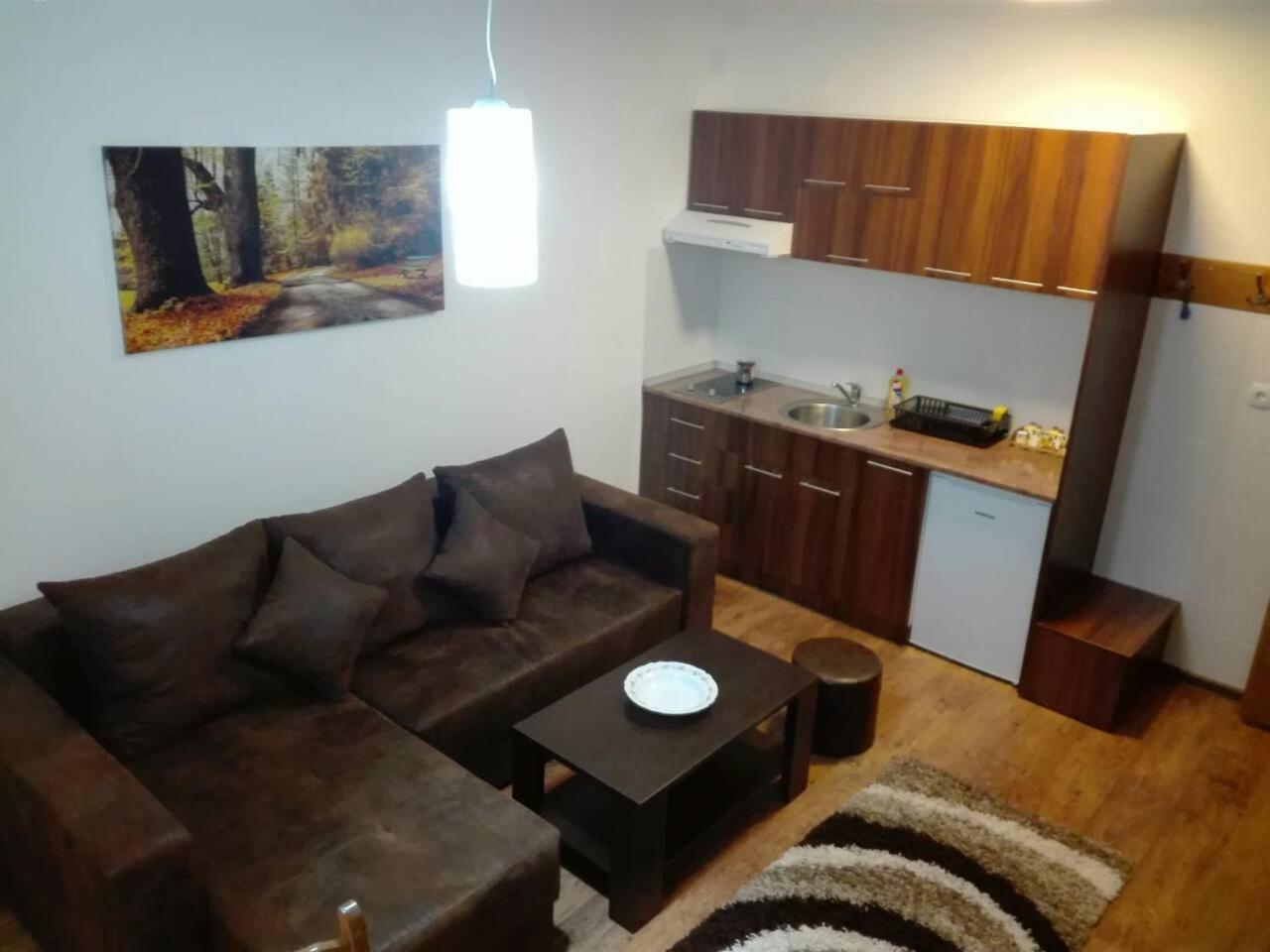 Vila Natasa Kopaonik Ngoại thất bức ảnh
