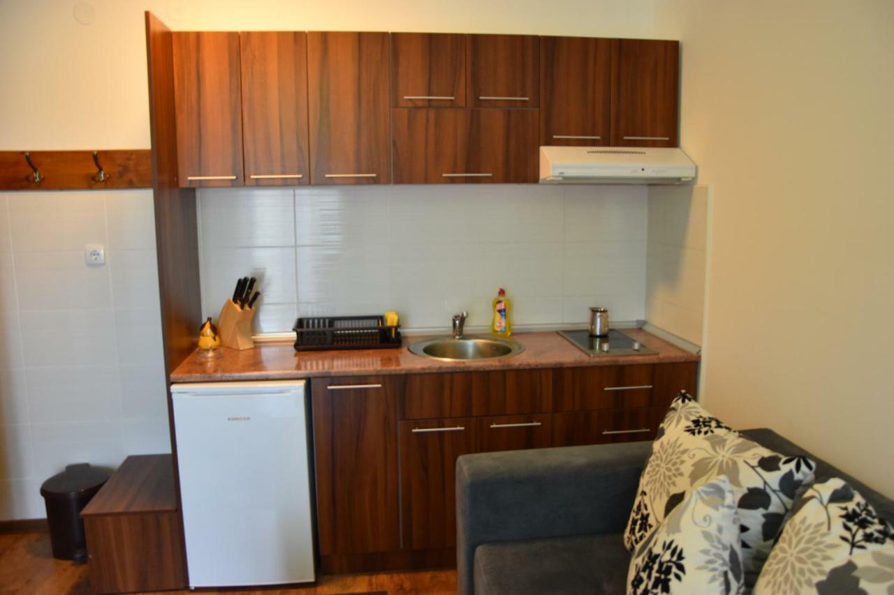 Vila Natasa Kopaonik Ngoại thất bức ảnh