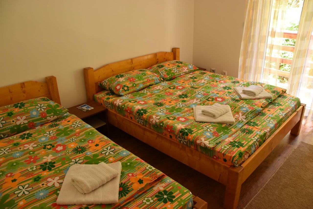 Vila Natasa Kopaonik Ngoại thất bức ảnh
