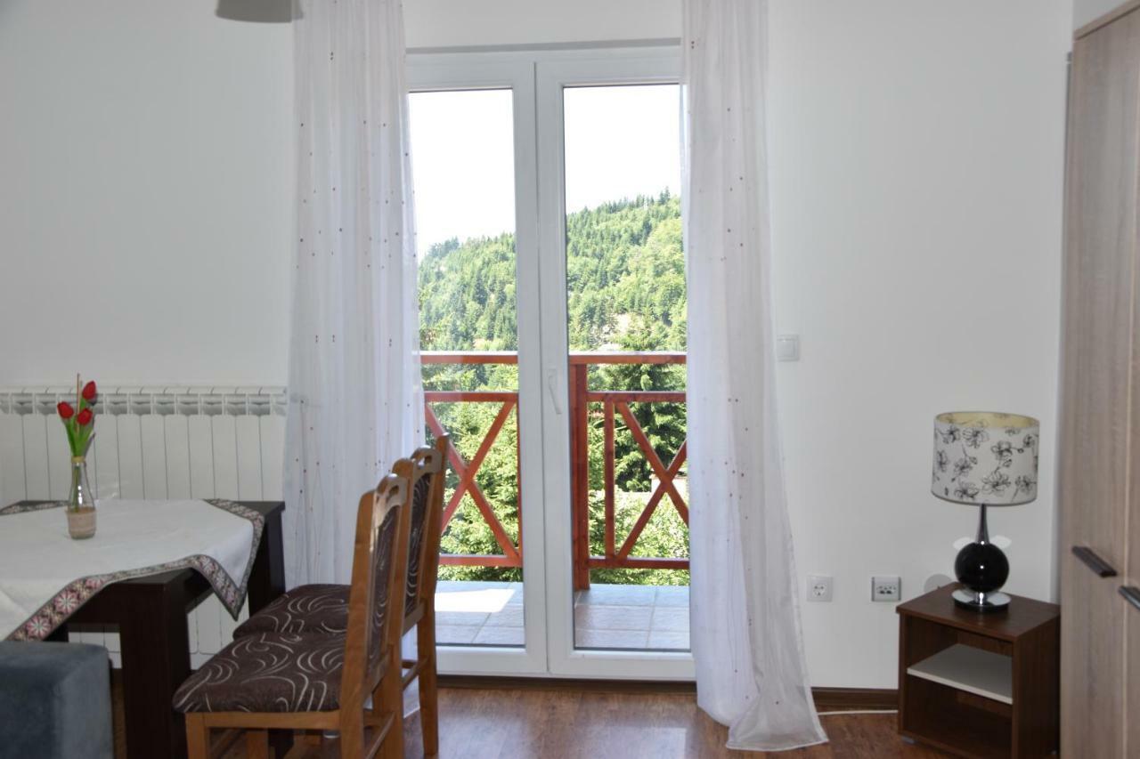 Vila Natasa Kopaonik Ngoại thất bức ảnh