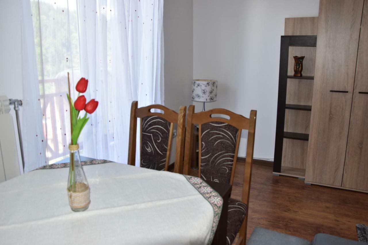 Vila Natasa Kopaonik Ngoại thất bức ảnh